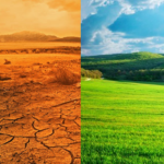 Comment sortir de la pauvreté: 5 sacrifices à faire