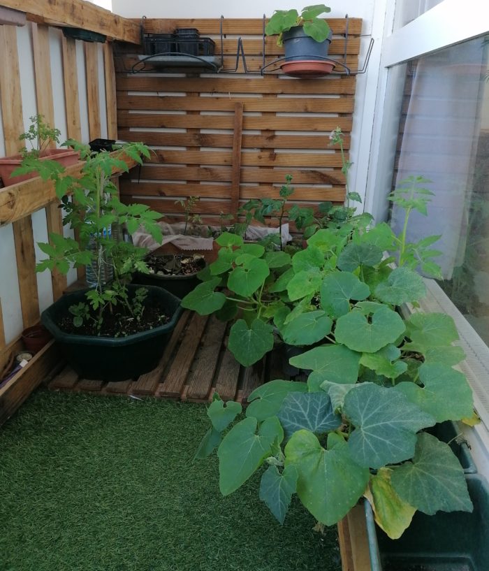 aperçu de mon balcon