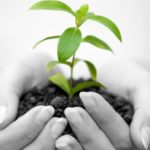 Différence entre Actif et Passif